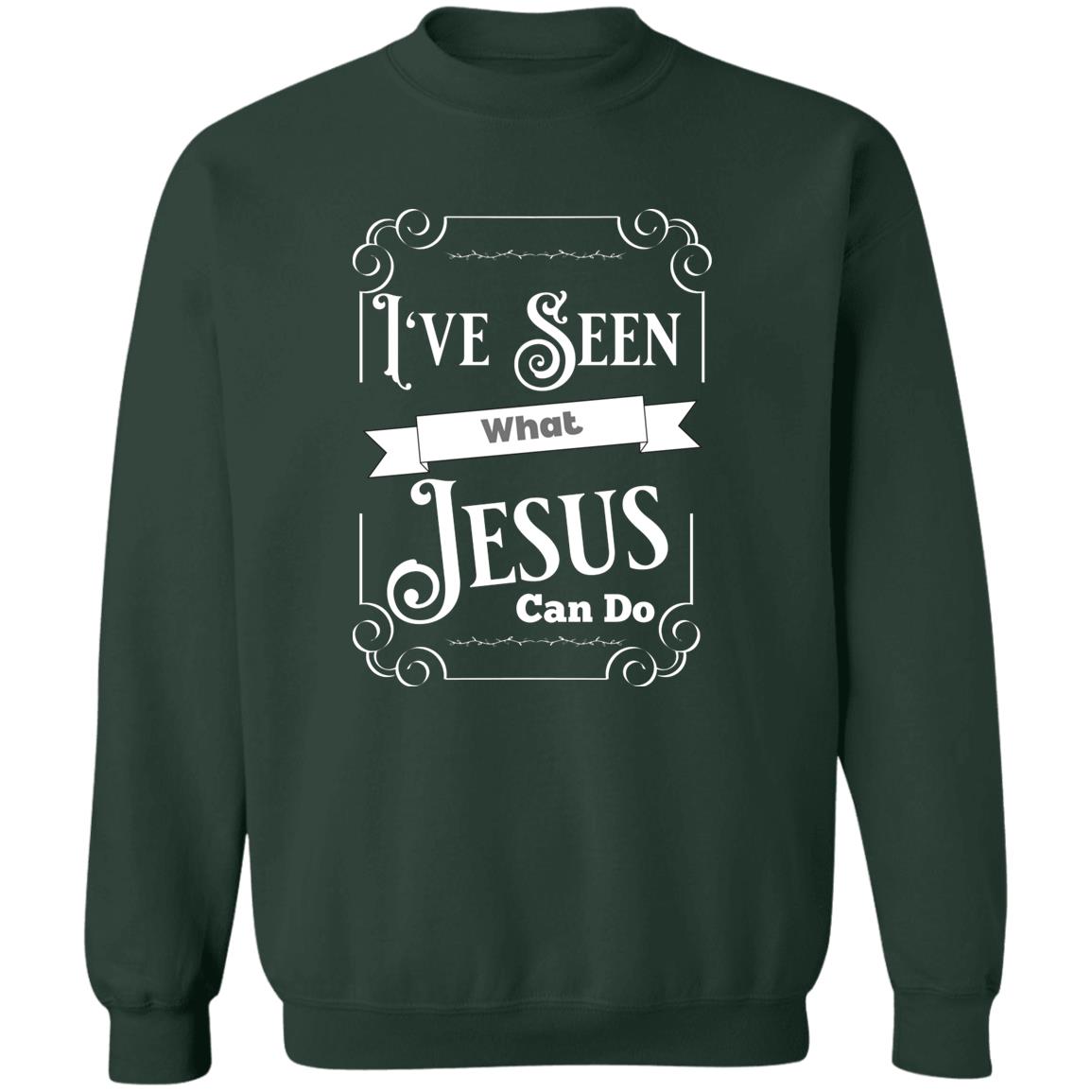 I've Seen What Jesus Can Do Crewneck Pullover Sweatshirt