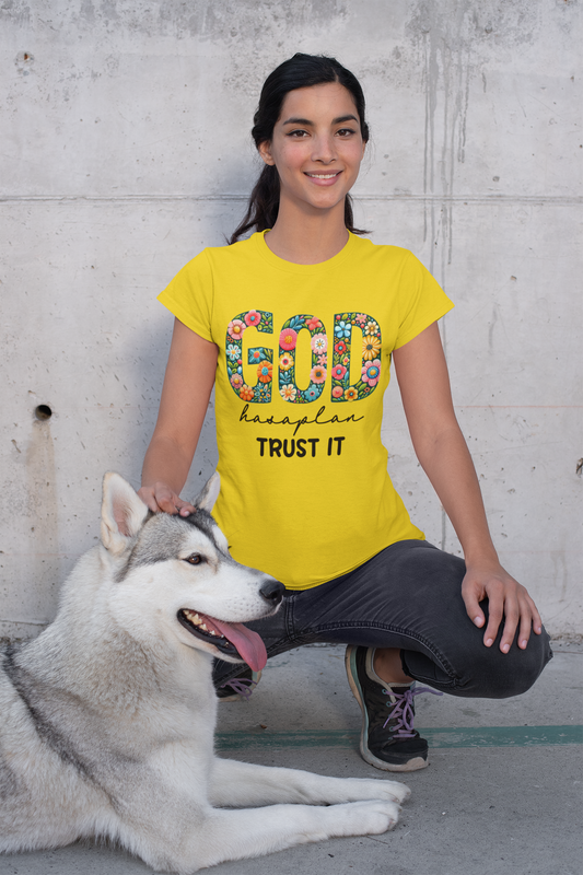 God Has A Plan - Trust It Ladies'  T-Shirt